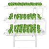Large Hydroponic Kit with 108 pots