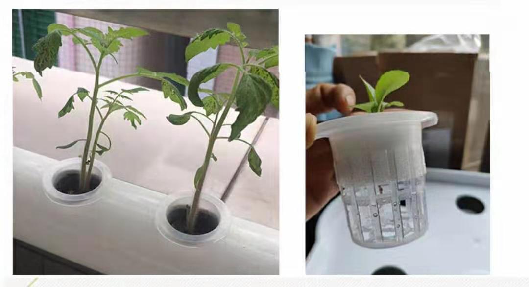 Beginner Hydroponics Kit With 36 Grow Pots Hydroponic Kits NZ