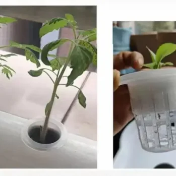 NZ Hydroponics Kit Two-Tiered With 36 Grow Pots