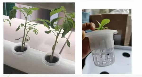 NZ Hydroponics Kit Two-Tiered With 36 Grow Pots