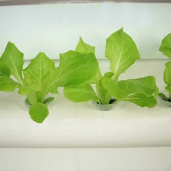 NZ Hydroponics Kit Two-Tiered With 36 Grow Pots