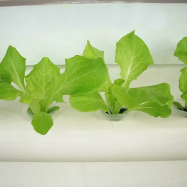 NZ Hydroponics Kit Two-Tiered With 36 Grow Pots