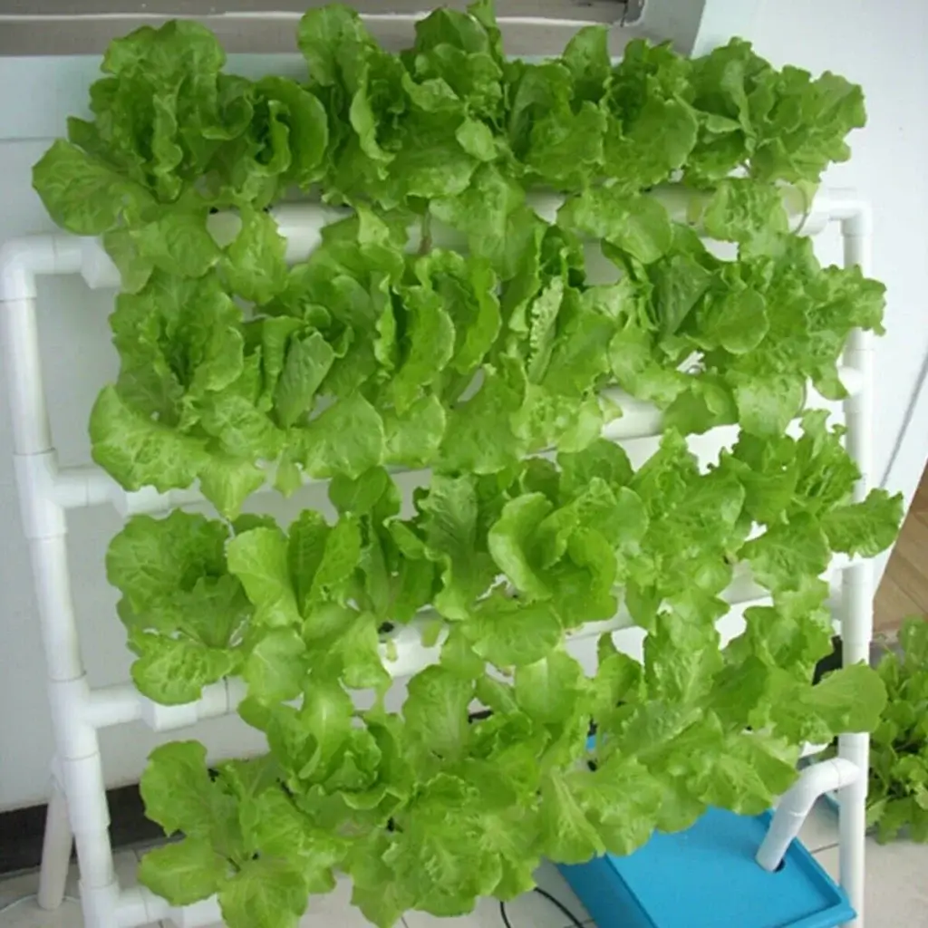 Slanted 36 Pot NZ Hydroponics Kit Product Picture