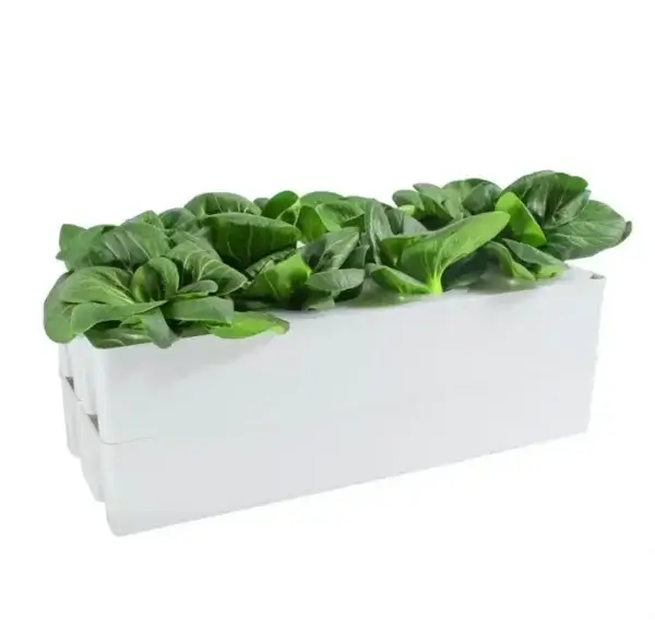 Home Hydroponic System