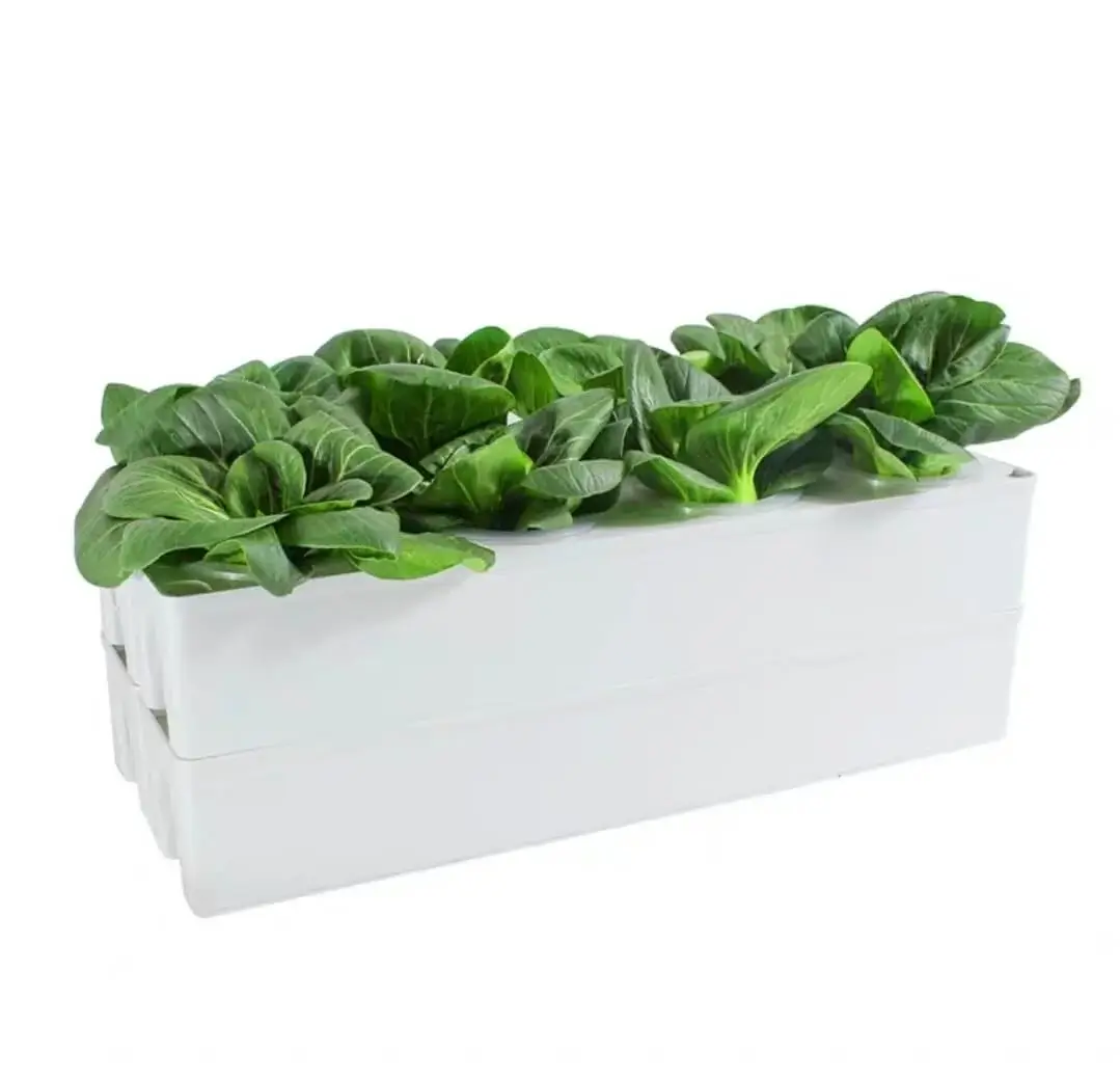 Home Hydroponic System