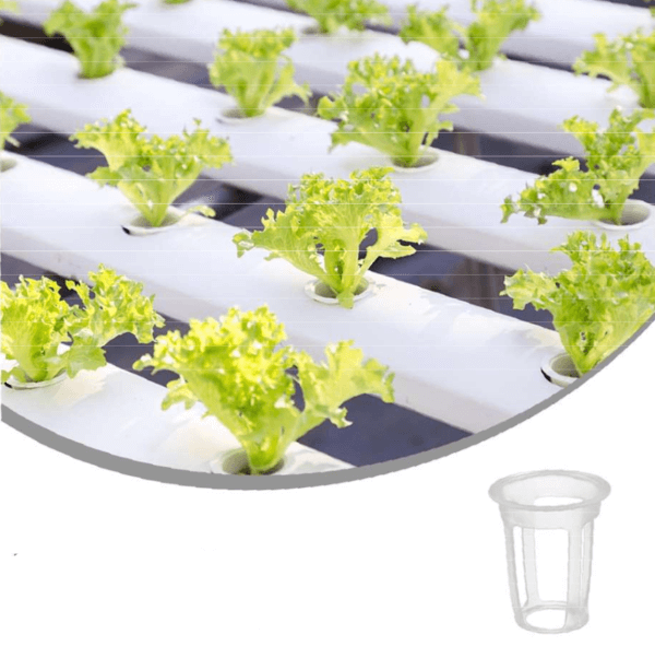50 Hydroponics Planting Pots - Image 3