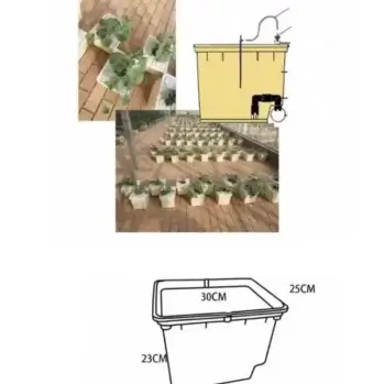 People using 6 Dutch Buckets Hydroponics Kit.