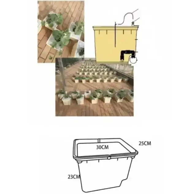 People using 6 Dutch Buckets Hydroponics Kit.