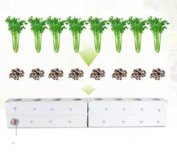 Home Hydroponic System - Image 2