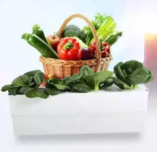 Home Hydroponic System - Image 6