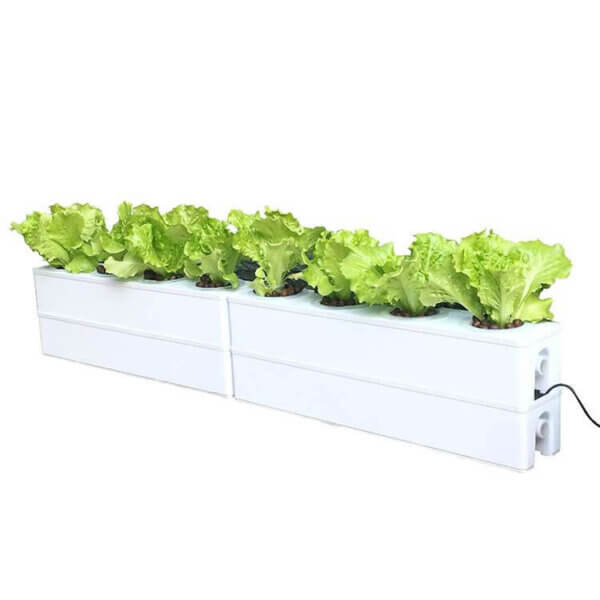 Hydroponic Kit for Growing Vegetables at home