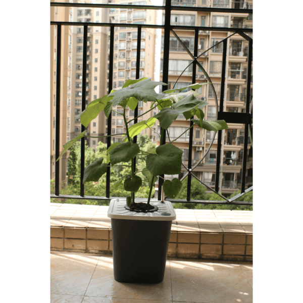 Dual-Bucket Hydroponic Garden - Image 2