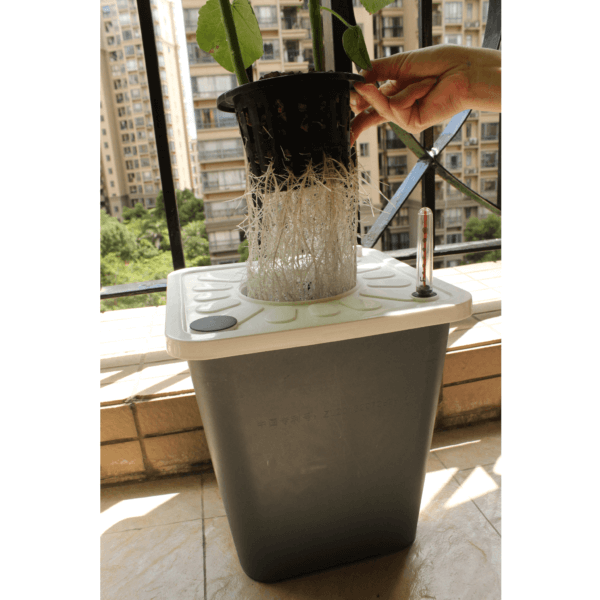 Dual-Bucket Hydroponic Garden - Image 4